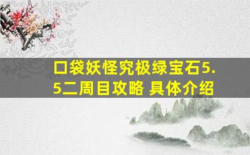 口袋妖怪究极绿宝石5.5二周目攻略 具体介绍